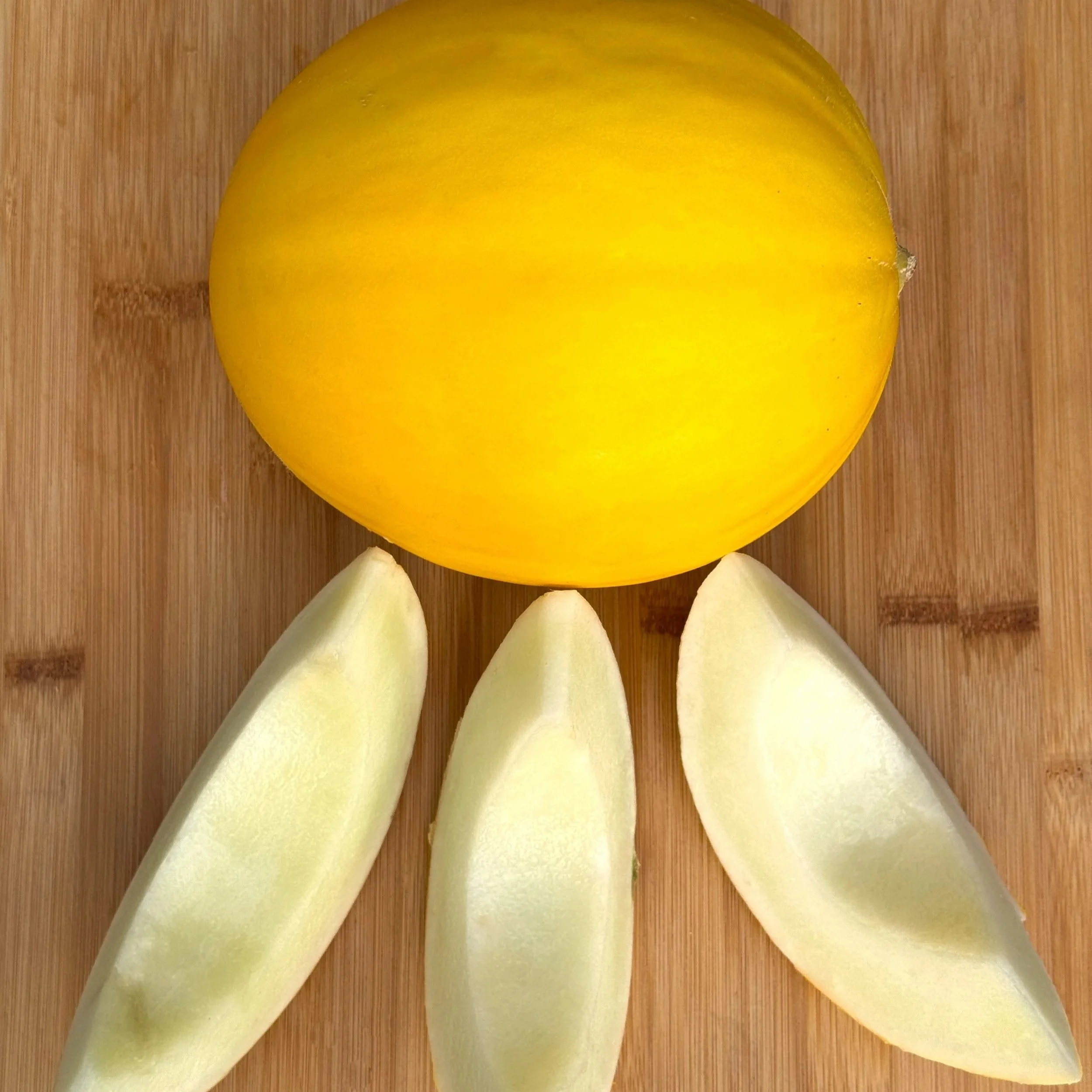 melonさま専用ページ Monticello | Anne Arundel Muskmelon